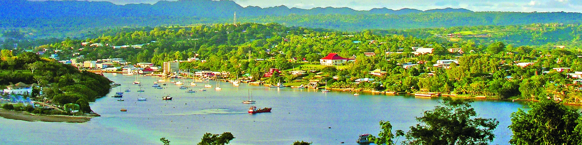 Protect our Islands (POI)