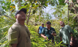 Federated States of Micronesia strengthens climate adaptation and cultural preservation through the War on Weeds programme